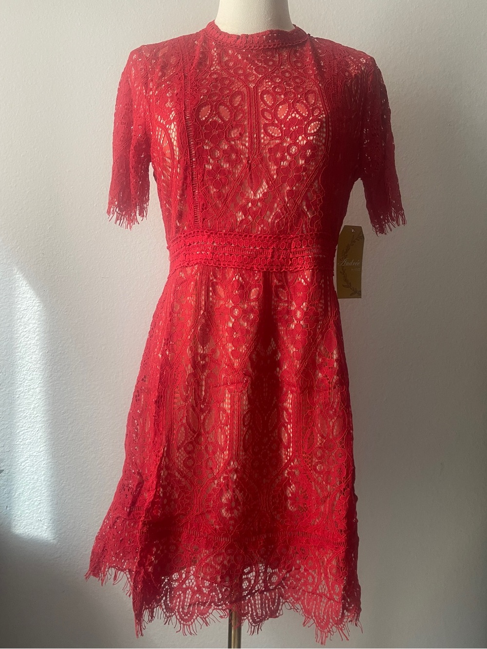 ANDREE BY UNIT Red Lace Fit & Flare Dress